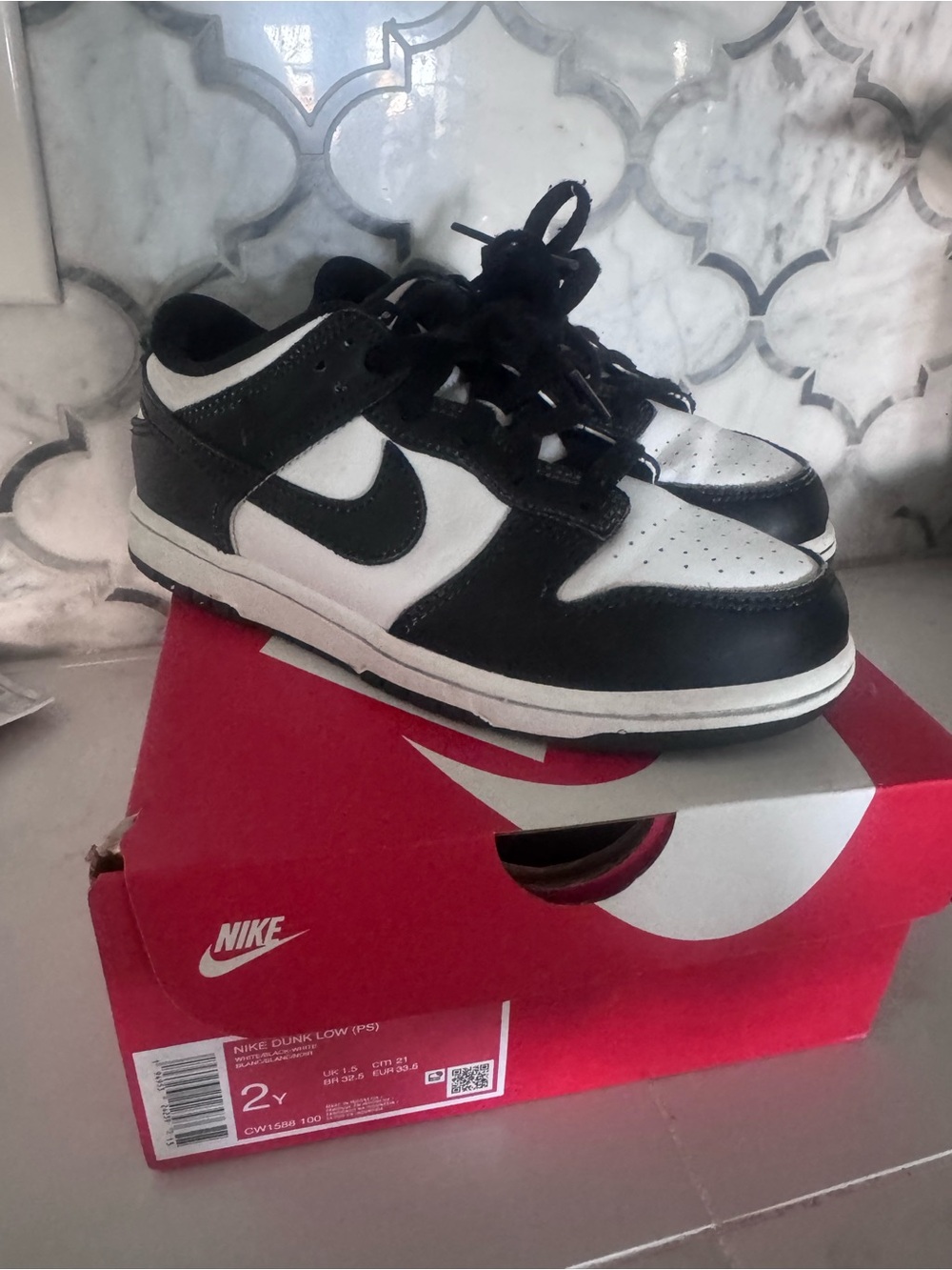 Nike Kids Dunks